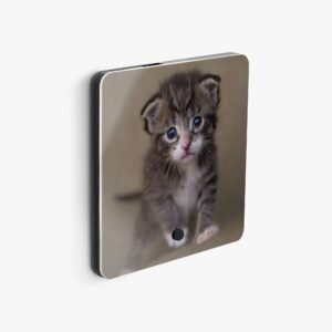 https://jetprint-hkoss.oss-accelerate.aliyuncs.com/merchantUpload/57536/35fab6b2cf0f49af81182a8e1b6036b3.jpg